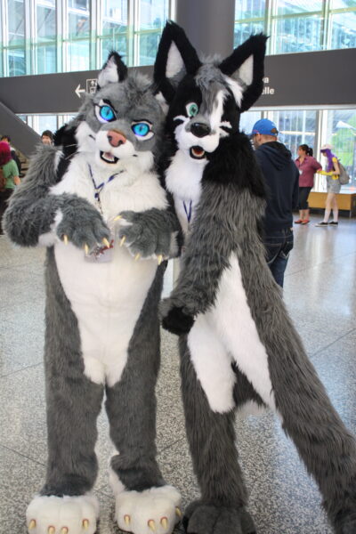 two people dressed up in fursuits