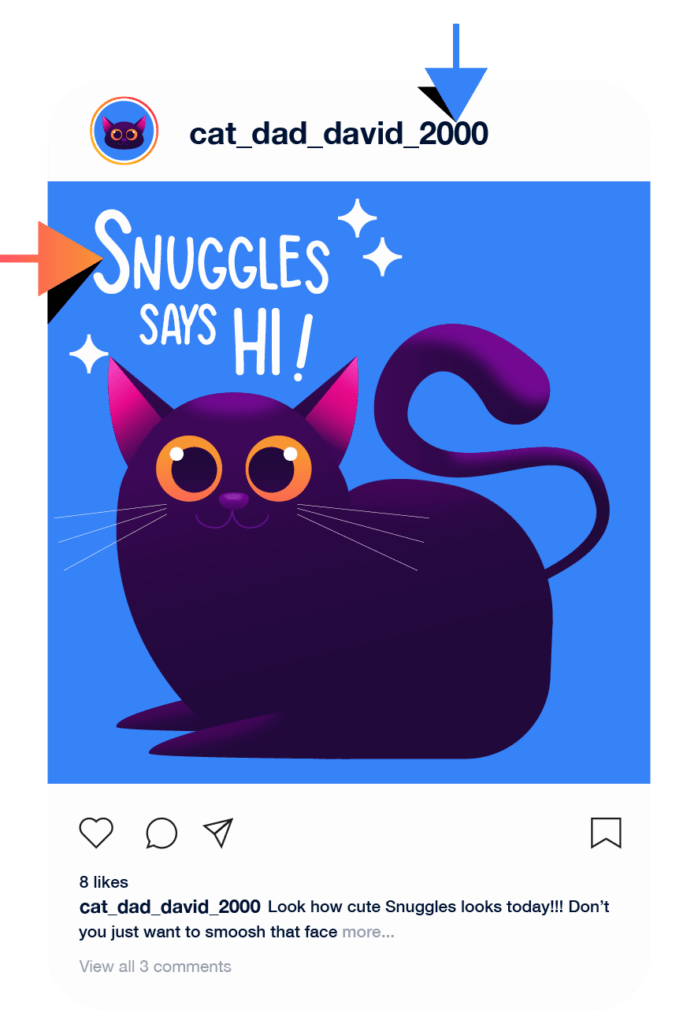 illustration of an Instagram post of a cat giving away his name, year of birth and his cats name